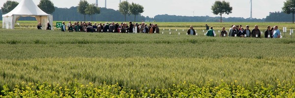 Intensive exchange between farmers and advisors on field day in Borwede, Lower Saxony. Photo: LWK